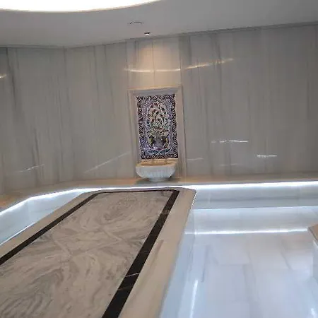 Hotel Hilton Garden Kocaeli Sekerpinar 4*