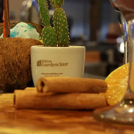 Hilton Garden Kocaeli Sekerpinar 4*